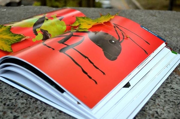 Науковий уікенд від проекту "Моя книжкова полиця"