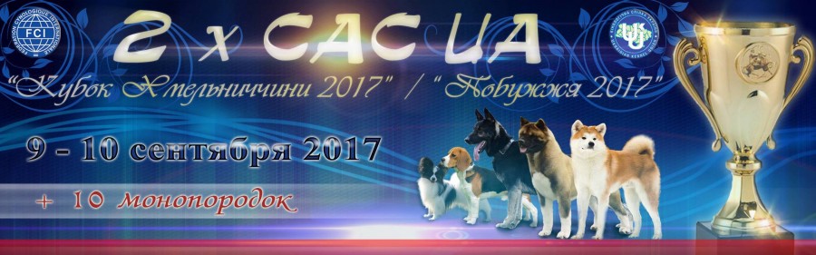 Виставка собак