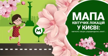 Час для яскравих селфі: в Києві цвітуть сакури та магнолії