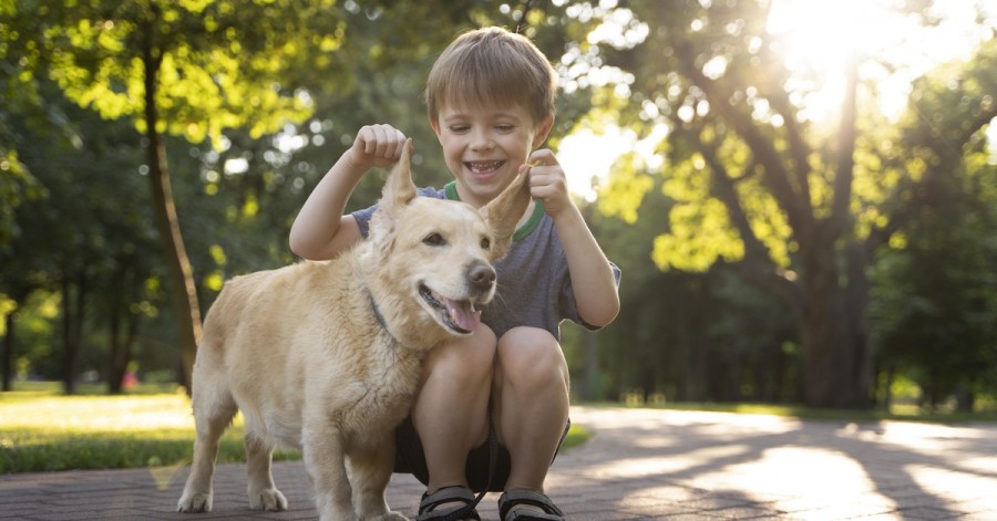 Топ-5 найкращих порід собак для сімей з дітьми