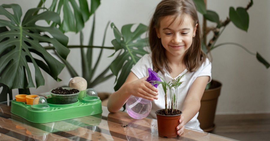 Садівництво для дітей: що можна виростити вдома на підвіконні