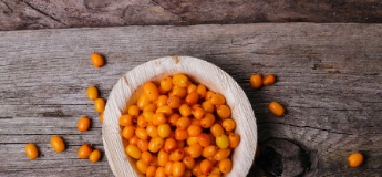 Вітамінна осінь: топ-5 найкорисніших ягід та рецепти з ними