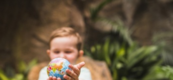Мультики про екологію: як цікаво та захопливо прищеплювати дитині екологічну поведінку