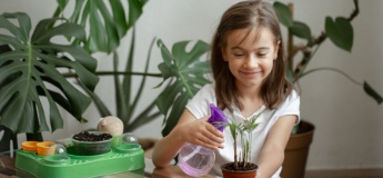 Кімнатні рослини для дітей: що посадити і як доглядати