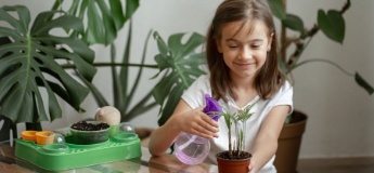 Садівництво для дітей: що можна виростити вдома на підвіконні