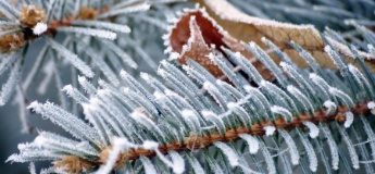 Переохолодження: як розпізнати та вчасно допомогти