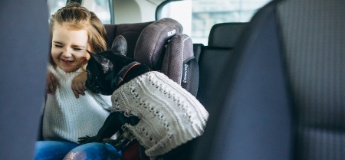 Ігри на травневі свята: як перетворити дорогу на сімейну пригоду