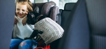 Ігри на травневі свята: як перетворити дорогу на сімейну пригоду